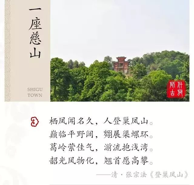 浓浓古典意蕴，孕育千年相思树！什邡这个小镇真的很美