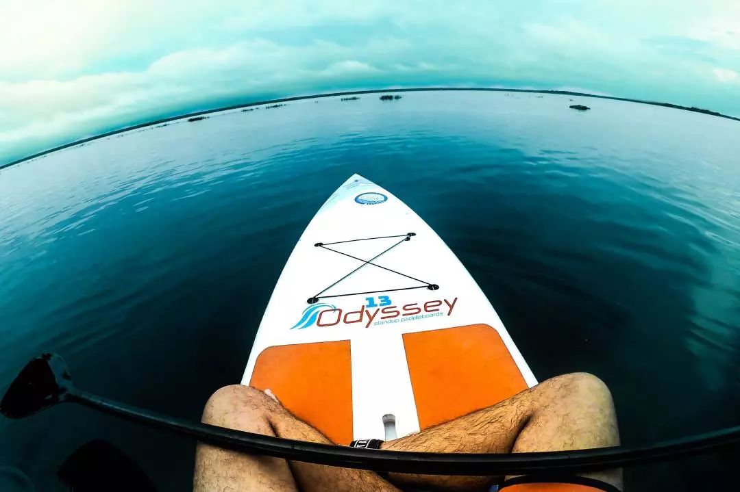 一根蜡烛毛利10000%？亚马逊欧洲站这块宝地到底还藏着多少生意