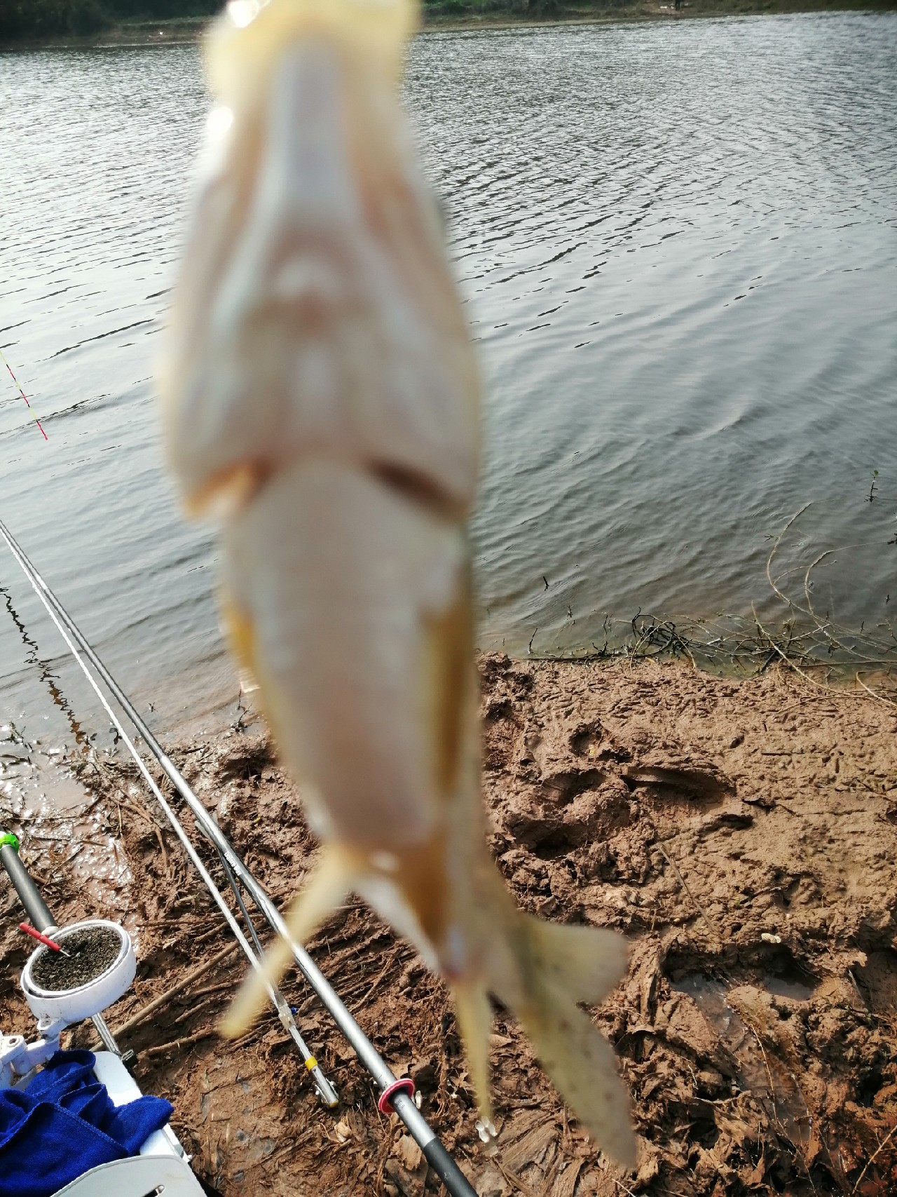 探钓偶遇小钓友怎么说,钓场用什么搭钓台