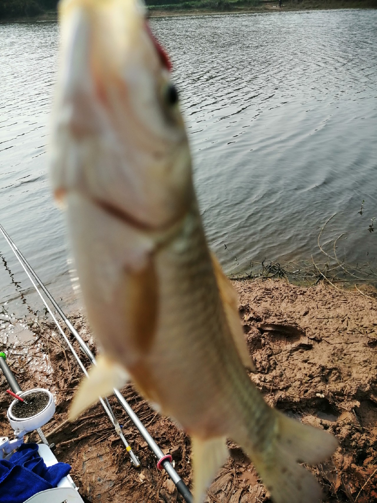 探钓偶遇小钓友怎么说,钓场用什么搭钓台