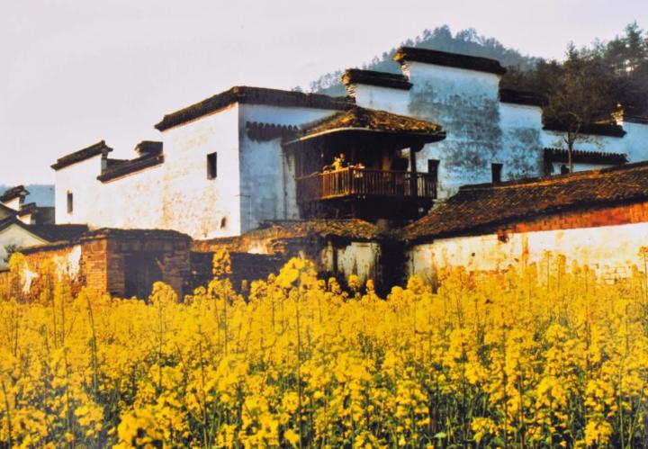 游桐庐,文旅基金为你买单!幸运“嬉”客是你吗?