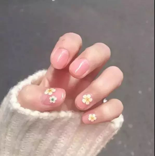 权志龙喜欢的雏菊是什么雏菊,权志龙的小雏菊为什么少一半