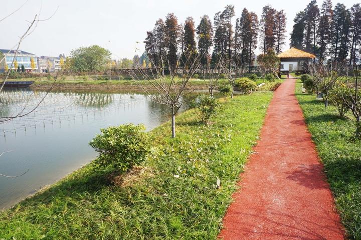 池塘尾水治理模式,关于水产养殖尾水治理工作的汇报