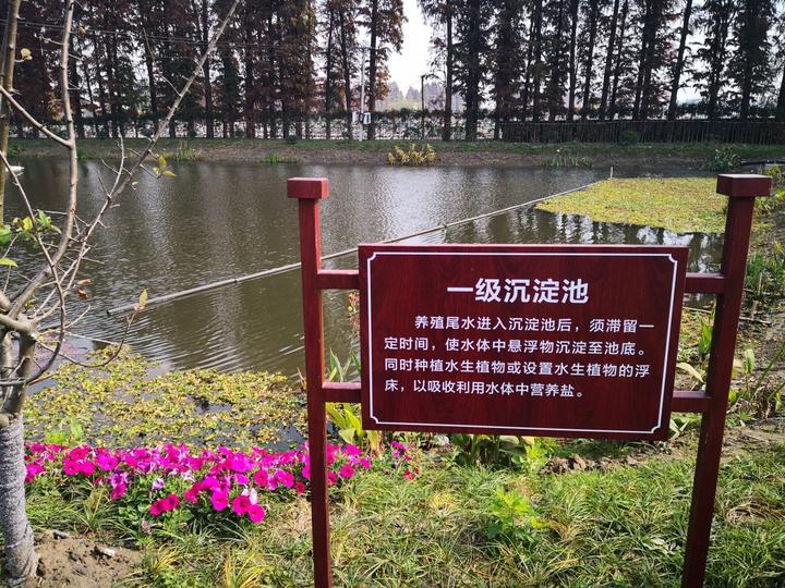 池塘尾水治理模式,关于水产养殖尾水治理工作的汇报