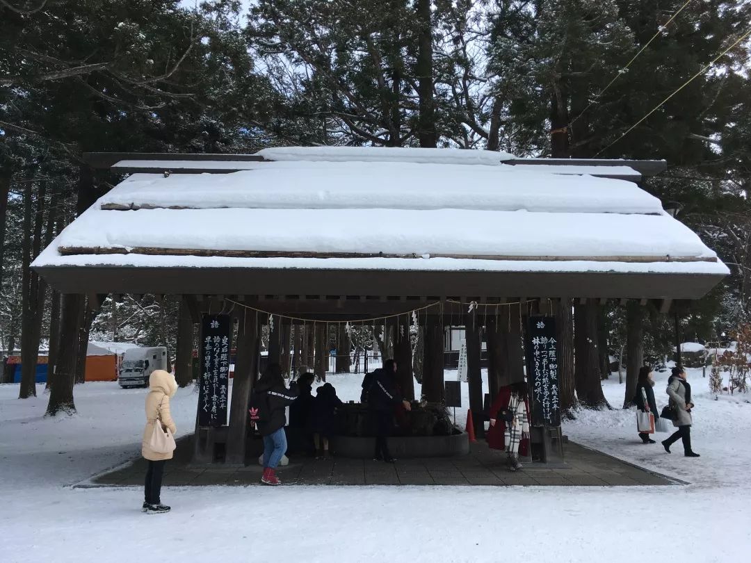 游记雪野湖作文,北海道游记