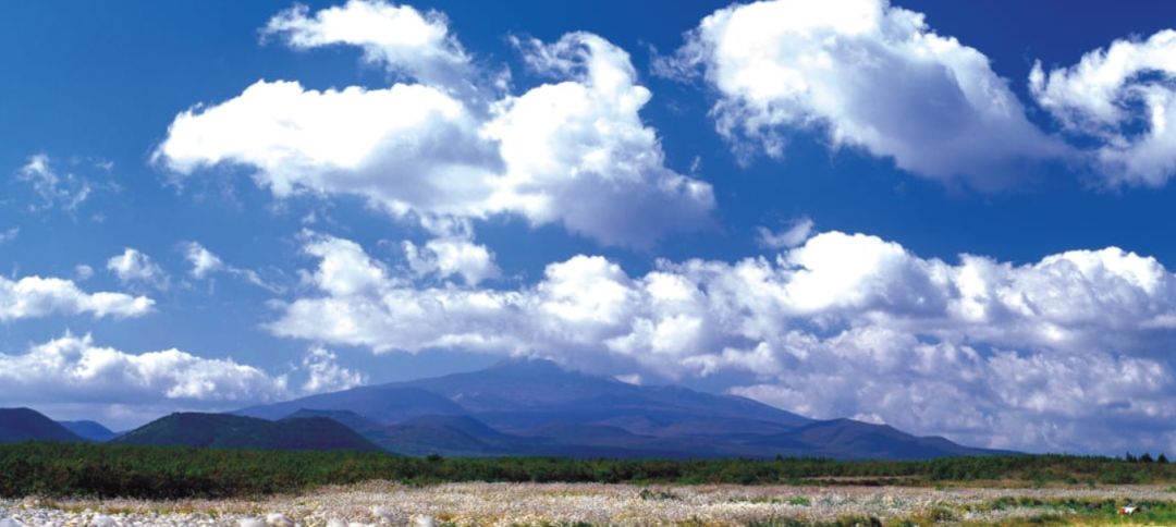济州岛海的背景图,真实的济州岛全景图