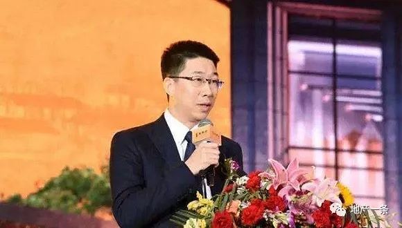 张晋元金地集团年龄,金地张晋元