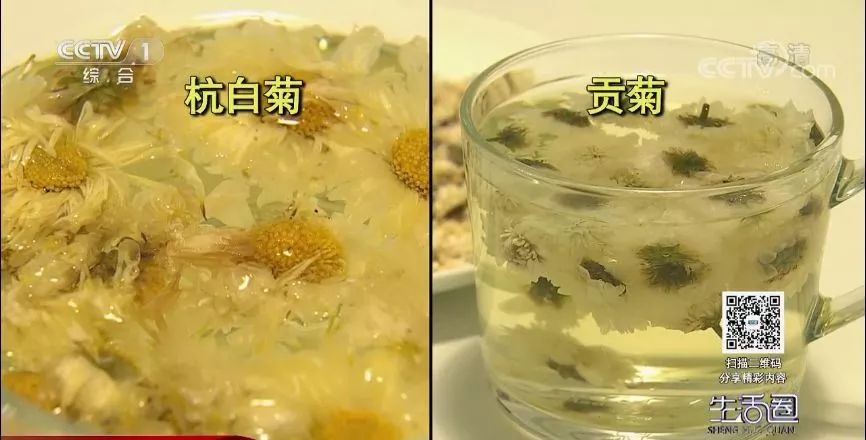 哪种菊花茶清热去火效果最好,蒲公英和菊花茶能清热去火吗