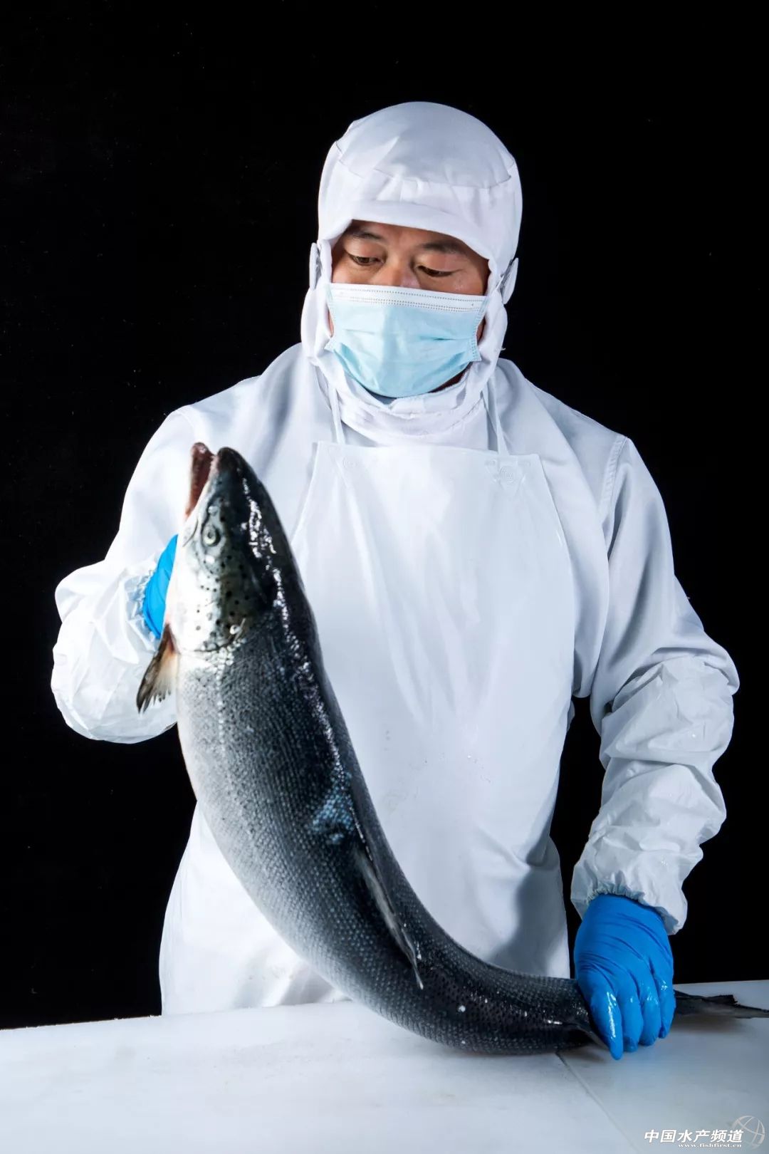 全国最大三文鱼批发市场,全国三文鱼进货渠道在哪里