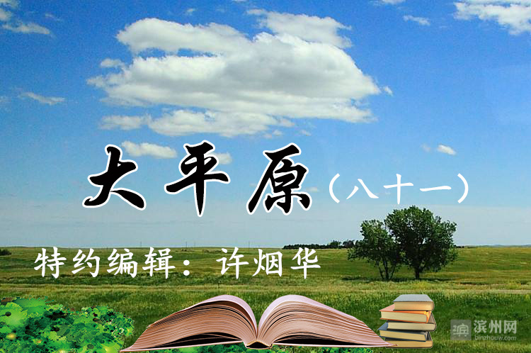 大平原（八十一）|养鸡趣话