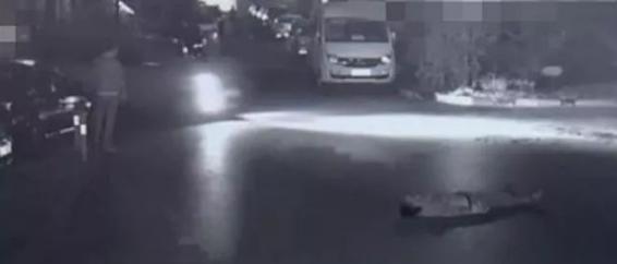 河南一醉汉被碾身亡事件后续,醉汉醉倒在车库升降杆下被碾身亡