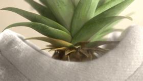 一千朵花填充出的「羽绒衫」|会烂吗？保暖吗？