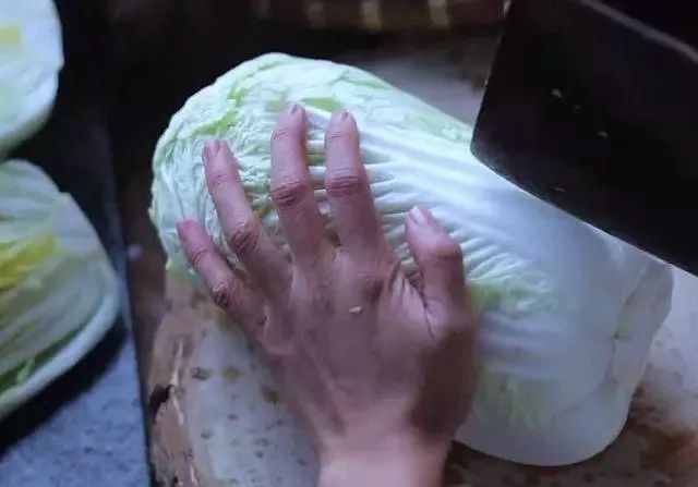 李子柒央视采访年度人物,央视评价李子柒启示