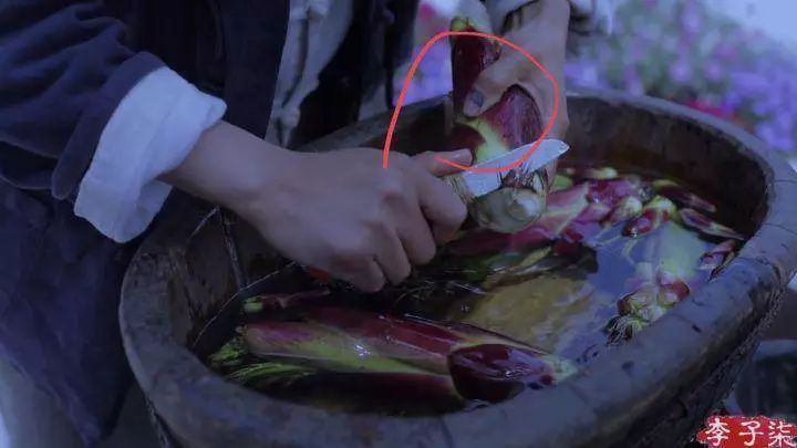 李子柒央视说最想做的三件事,李子柒受到央视表扬