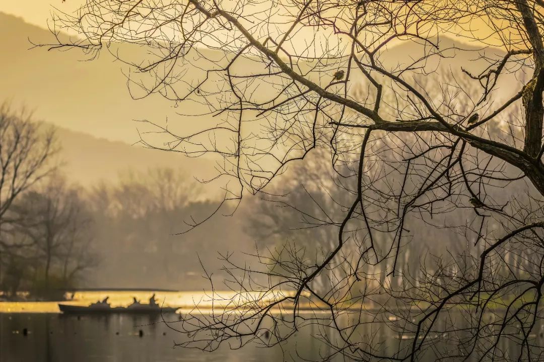 愿烟火人间安得太平美满二胡,愿烟火人间安得太平美满