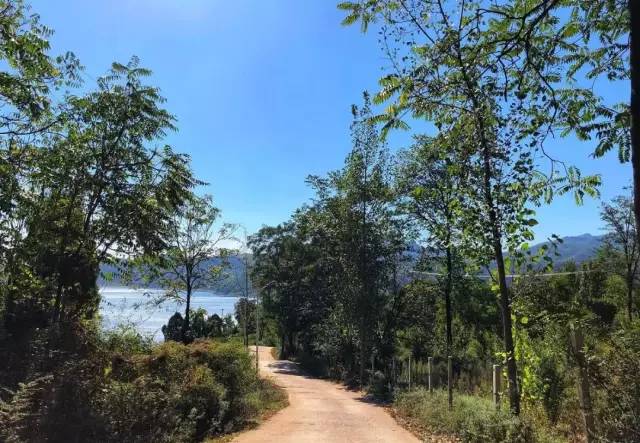 洛阳夜晚网红打卡圣地,洛阳广州市场网红打卡地