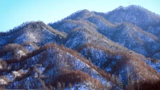 洛阳夜晚网红打卡圣地,洛阳广州市场网红打卡地