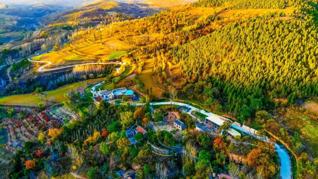 洛阳夜晚网红打卡圣地,洛阳广州市场网红打卡地