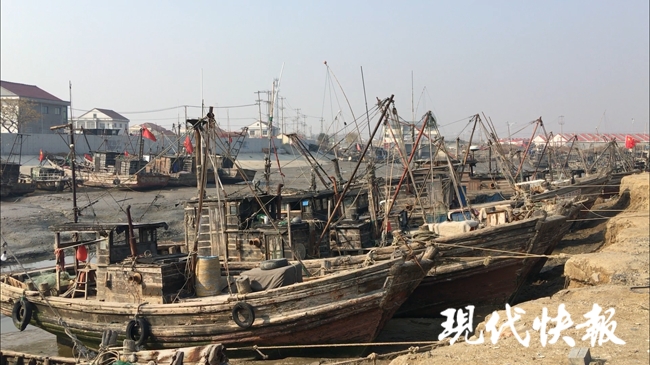 渔二代最新视频,渔二代直播卖海鲜