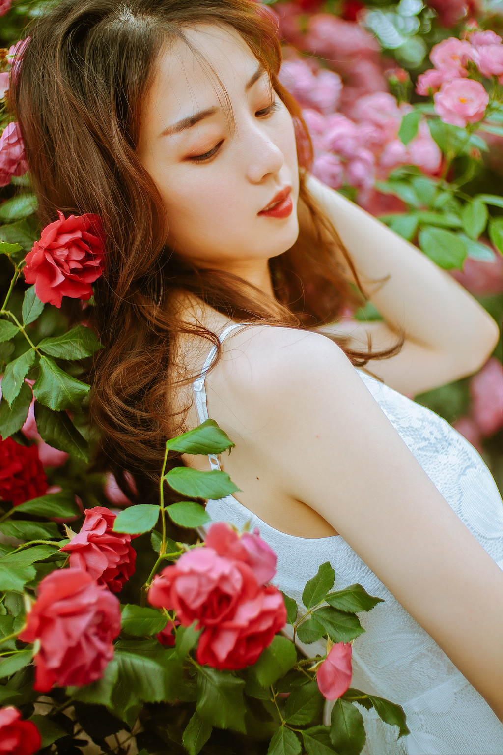 尼康佳能宾得全幅相机比拼,尼康索尼佳能50mm1.2镜头对比