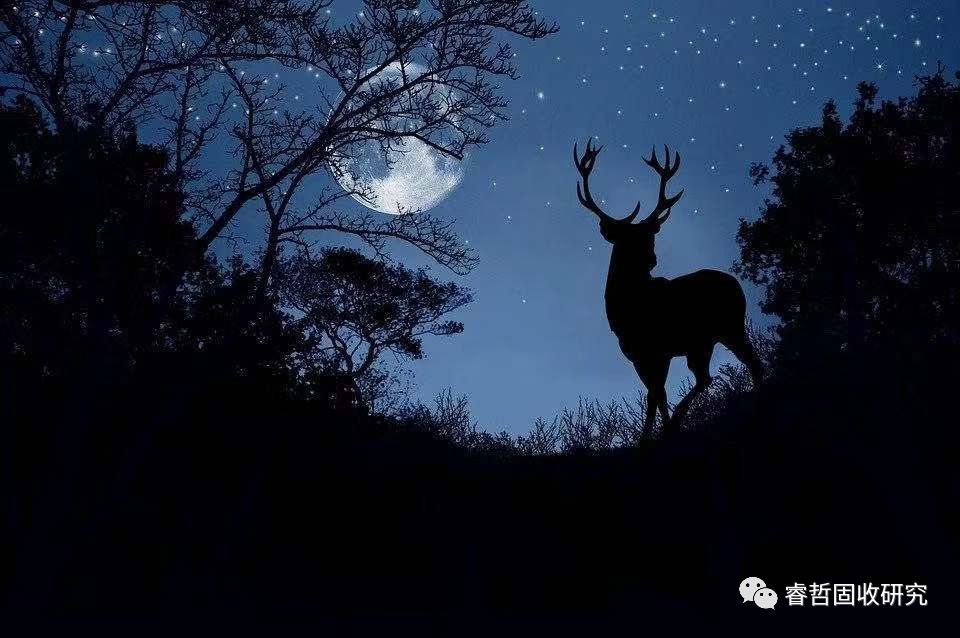 至纯科技可转债项目,至纯半导体设备