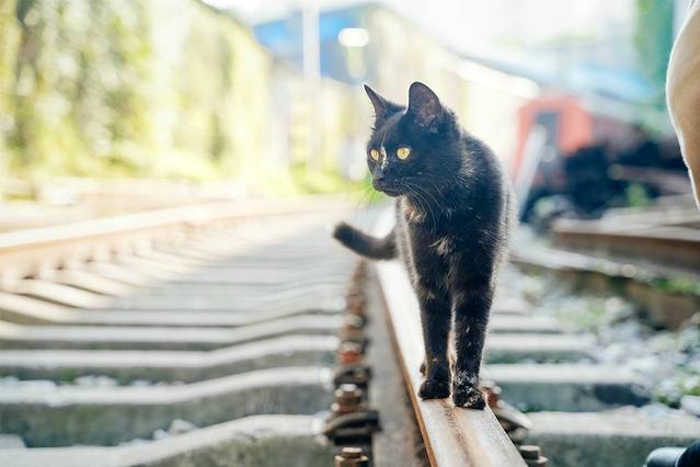 周末打卡景区特色美食推荐,热门旅游美食打卡胜地