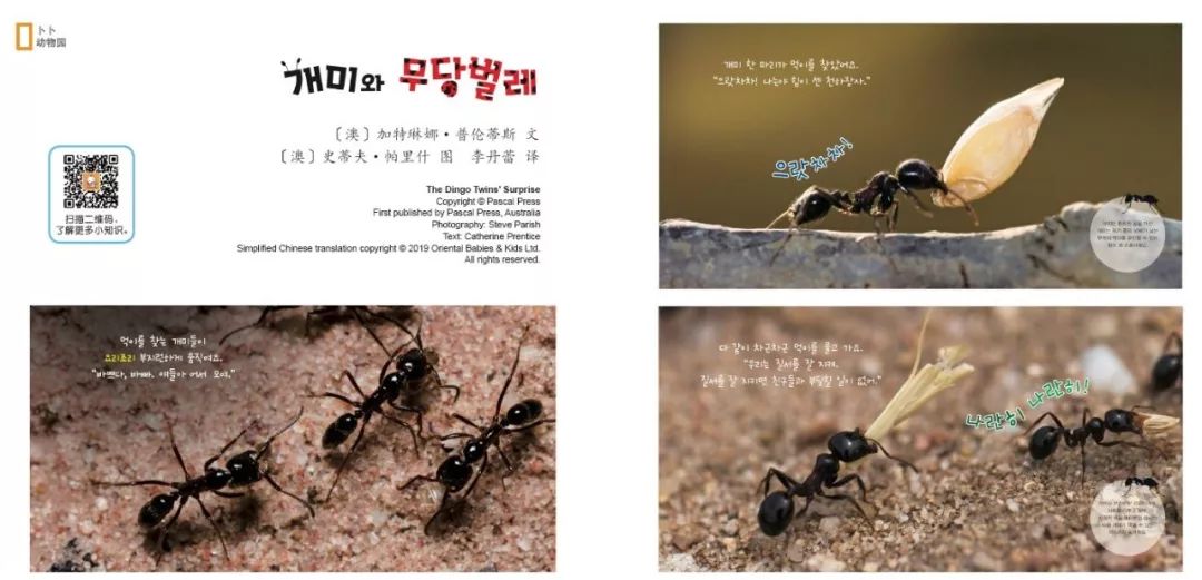 国内口碑NO.1,续订率超过90%的幼儿刊物《东方娃娃》来了!火速抢