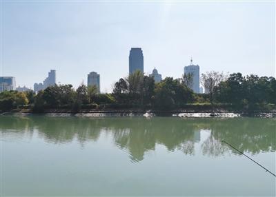 劳荣枝在厦门隐藏于酒吧、4S店超3年月入约万元