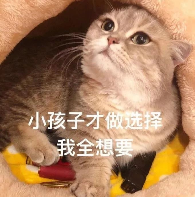 测评口红canmake,MAC口红评测