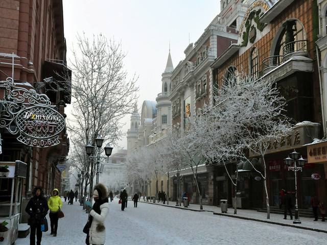 冰雪之冠哈尔滨,冰雪之冠浪漫哈尔滨