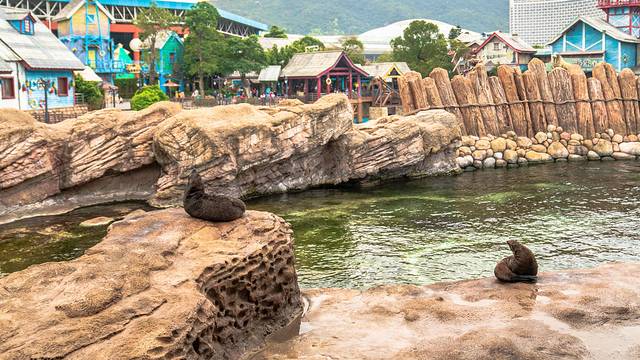 长隆海洋王国海底机动船,珠海长隆海洋王国鲸鲨馆海底区