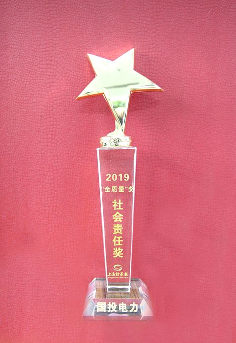 奖奖奖奖奖!年终收获季,国投获卓越责任企业等一波大奖