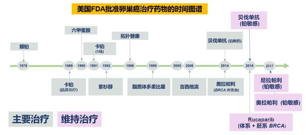 从轰动全球到不能验证,尼拉帕利国内上市时间