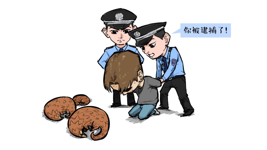 2019，你有被暖暖暖暖暖暖暖到吗？