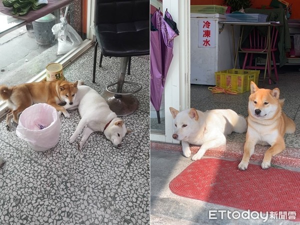 痴汉柴见短裙黑丝辣妹起色心！　双手环抱美腿做不雅动作