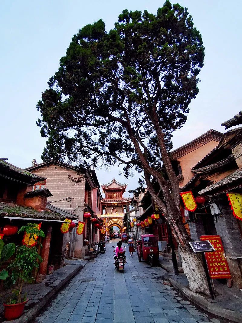 天涯咫尺，如见故人|2019小林摄影总结