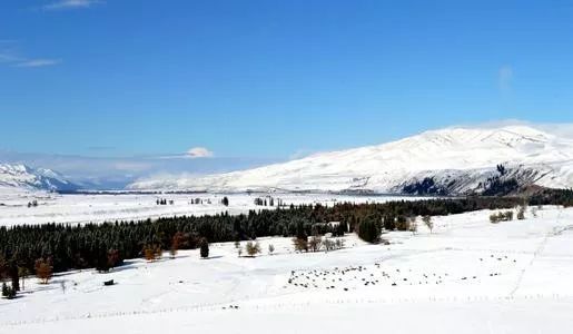 冬季天路旅游攻略大全一日游,秋季游草原天路的最美线路