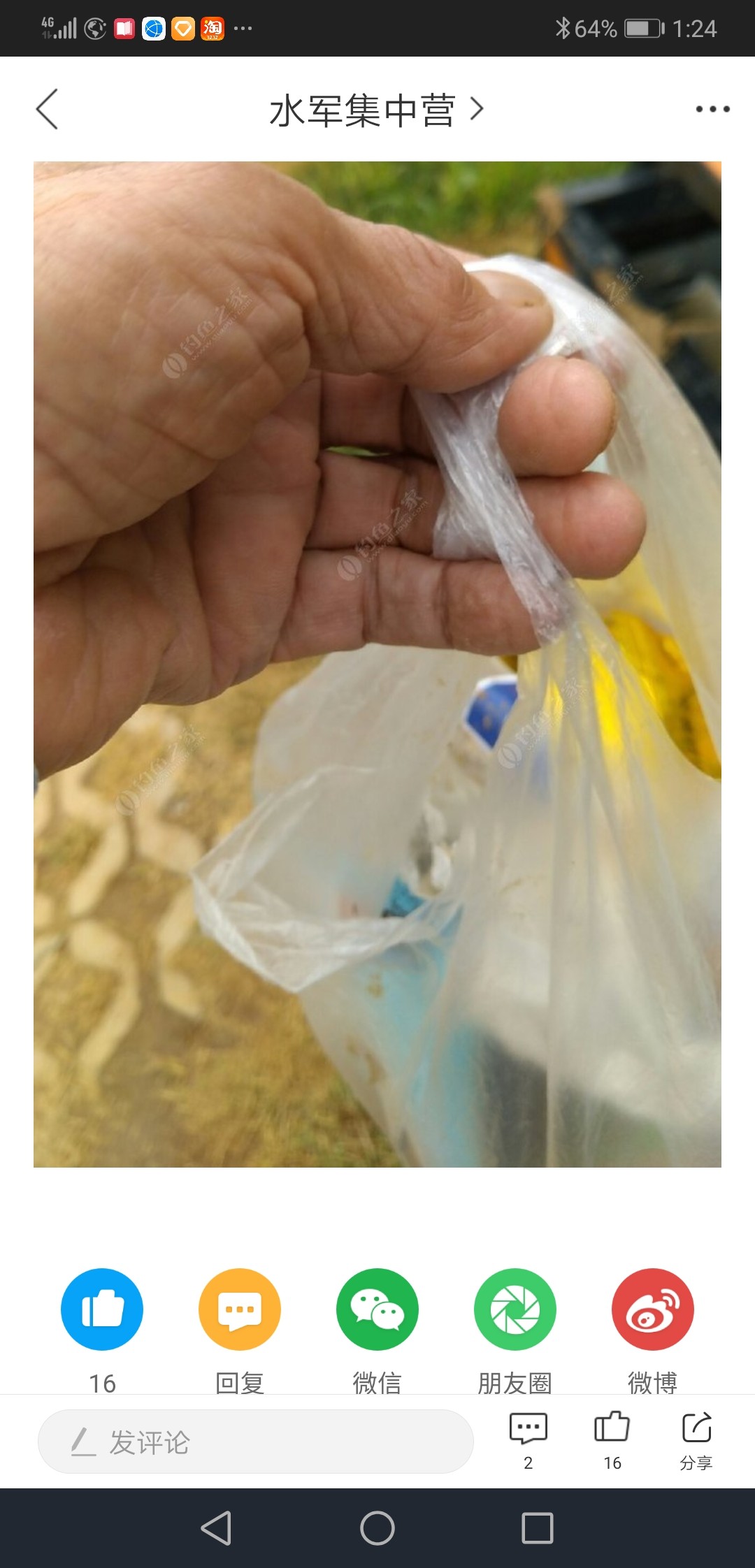 钓鱼十大注意事项,钓鱼需要注意的21要点