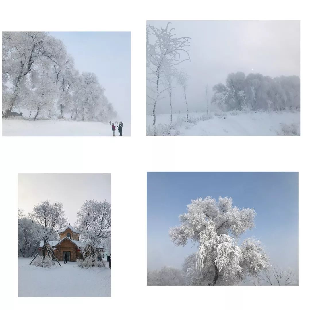 吉林雾凇朗诵,最美的吉林雾凇