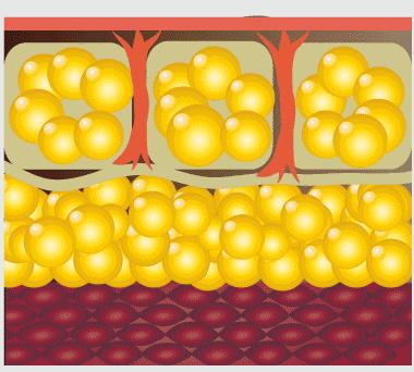 能量低饱腹感强的饼干有哪些,小黑熊燃脂饼干