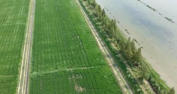 涓ゅ哺鍏变績涔℃潙鎸叴,鍙拌優鎰熷徆涔℃潙鎸叴