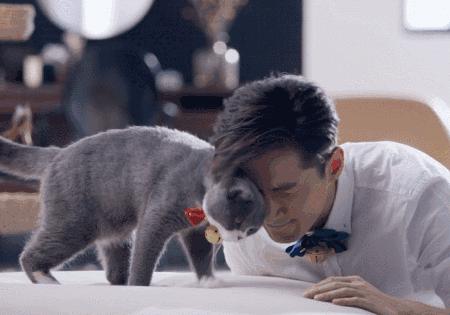 出来混迟早要还在线免费阅读,2019淘宝年度账单在哪里看