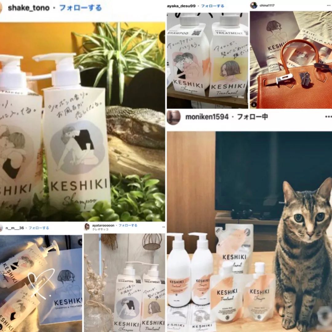 明星推荐日本洗发产品,毛躁头发日本洗发推荐