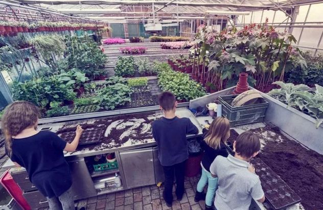 赵文卓女儿在英国上的高中,赵文卓女儿上的是职业学校吗