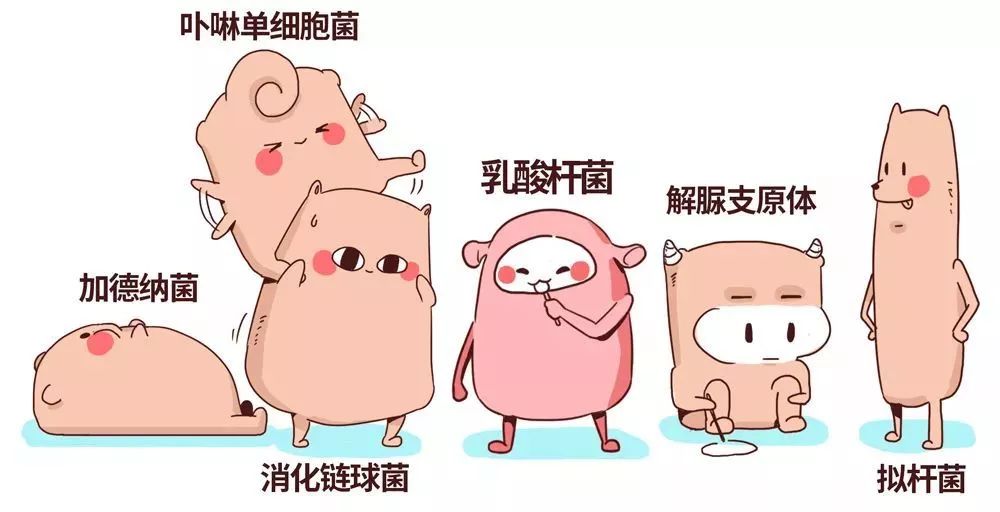 一句洗洗更健康，连骗三代中国人