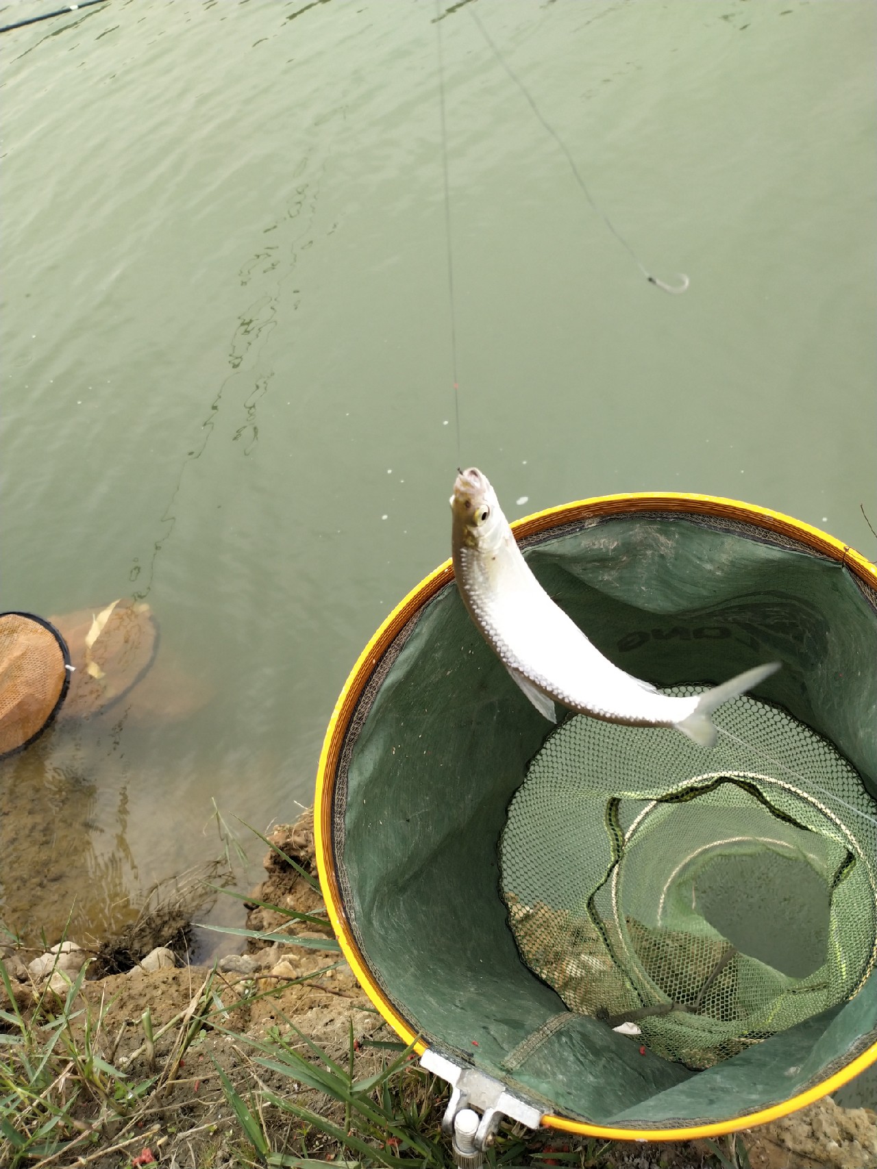 野钓水库位置真的很关键,野钓水库最佳位置图