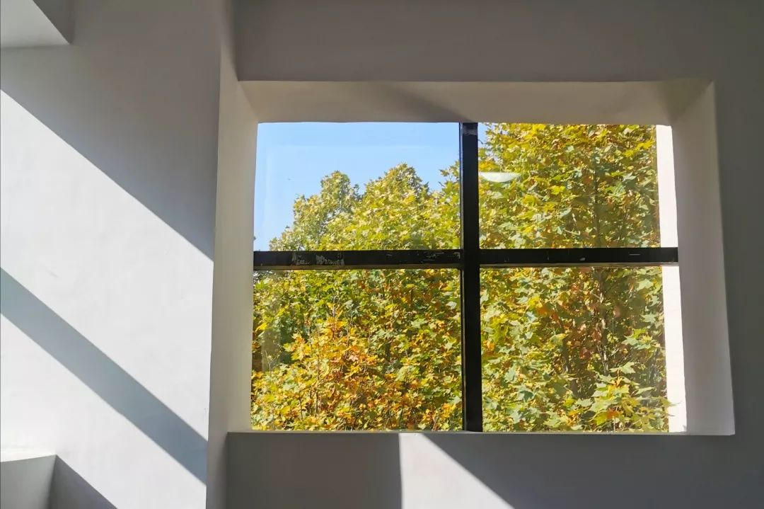 这还是我认识的相机吗,这还是我认识的二哈吗