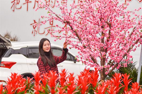 清远清新迎春花市2024年花市,清远2023迎春花市在哪里