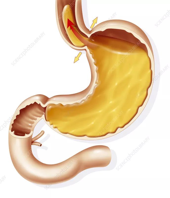 空腹可以吃饭吗下一句怎么接,空腹可以吃饭吗什么梗