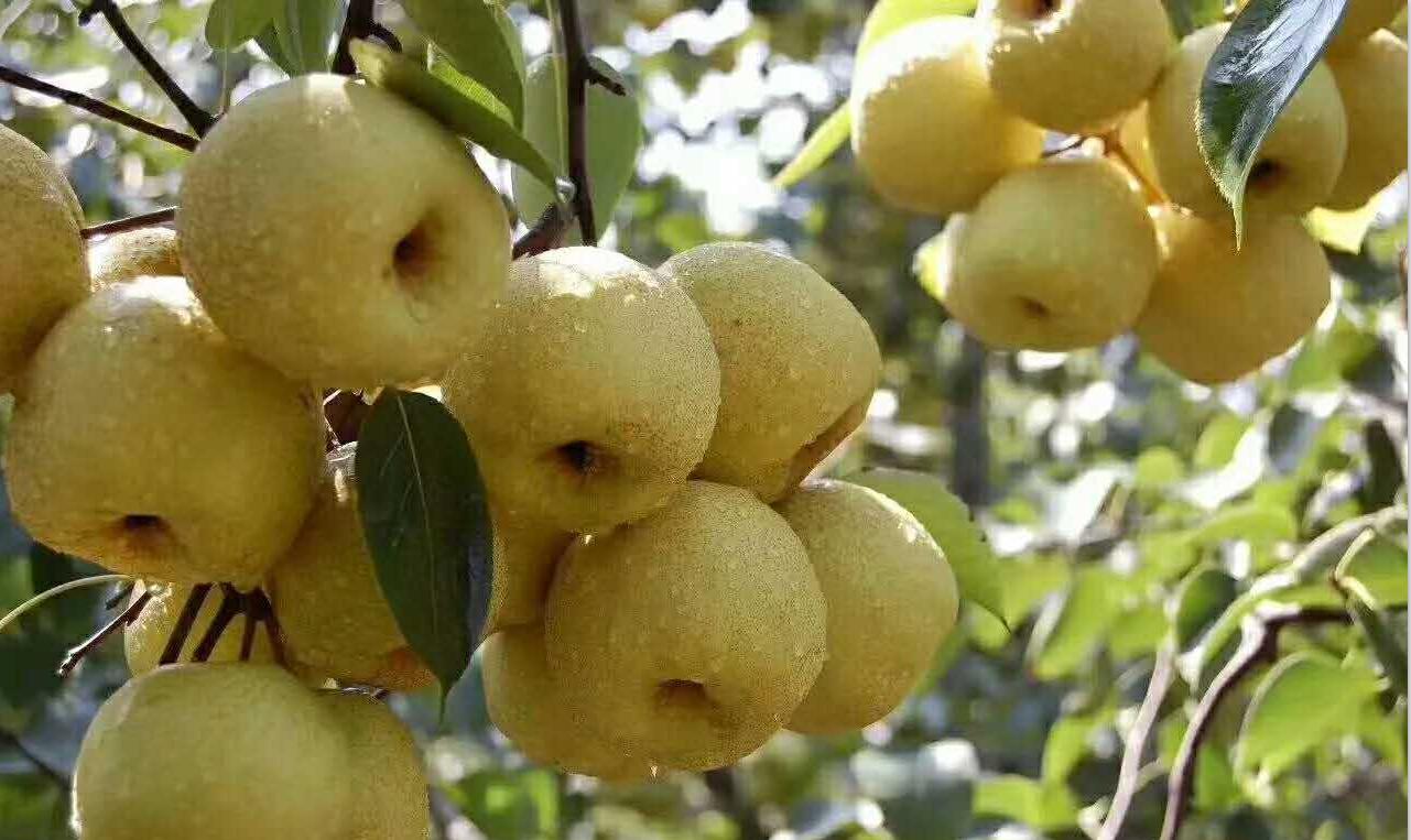 酒精最怕的解药家家都有,酒精最怕的解药不是白开水